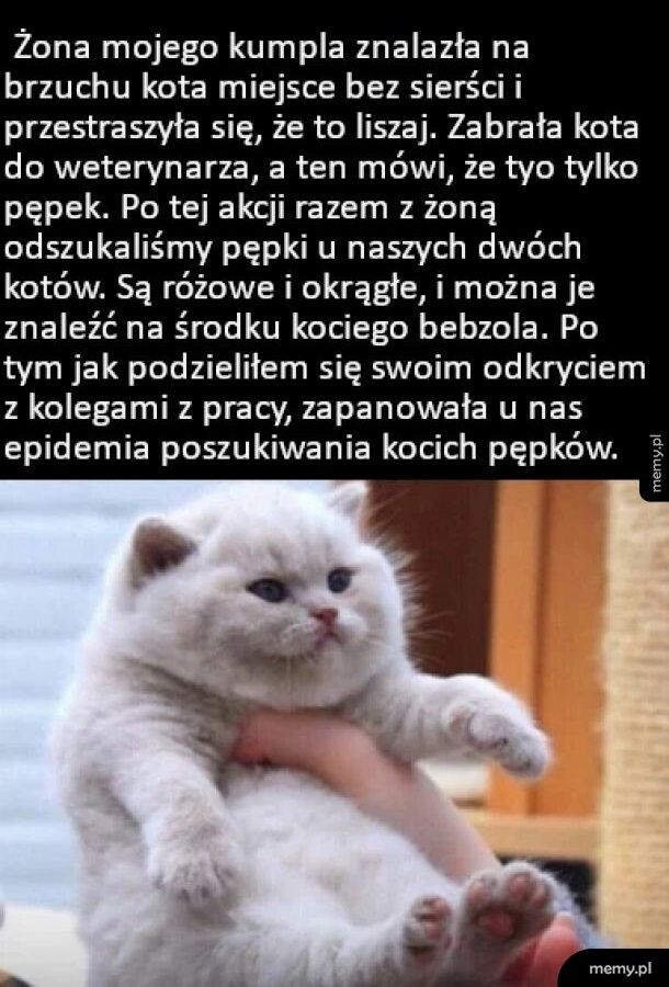 Tak.. też szukałem kociego pępka