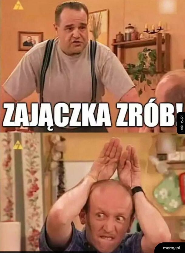 Zajączek