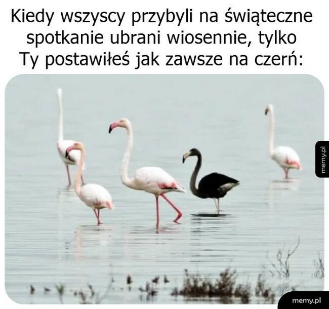 Wiosenna kolekcja