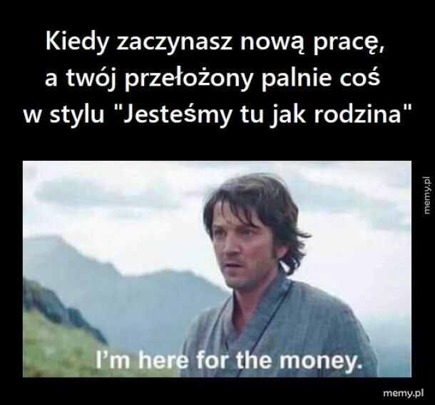 W nowej pracy