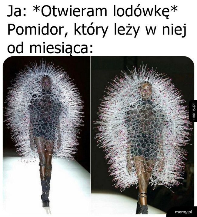 Moda inspirowana pleśnią