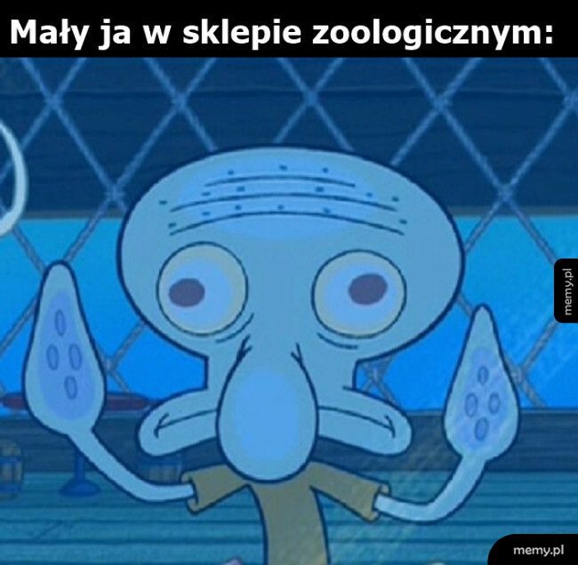 W sklepie zoologicznym