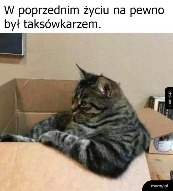 Takie przypuszczenie