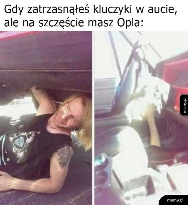 Ogarnie się