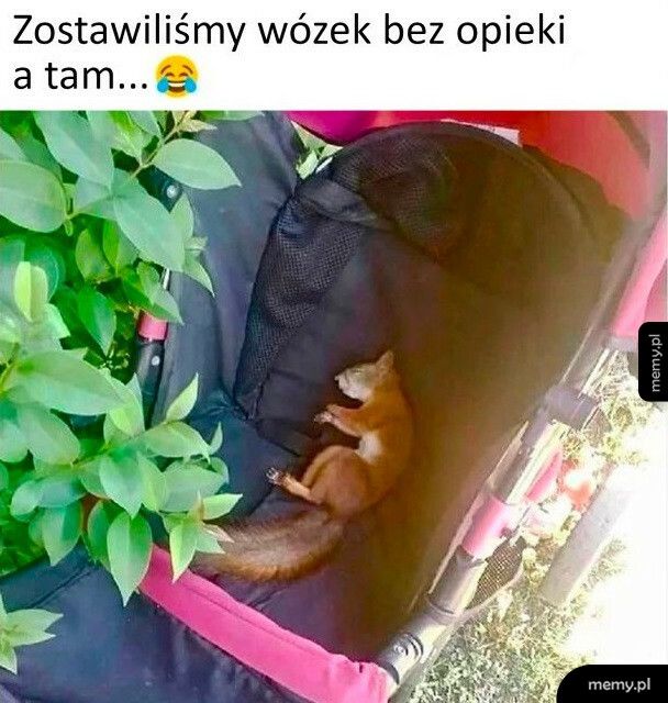 Przejmuję ten wózek