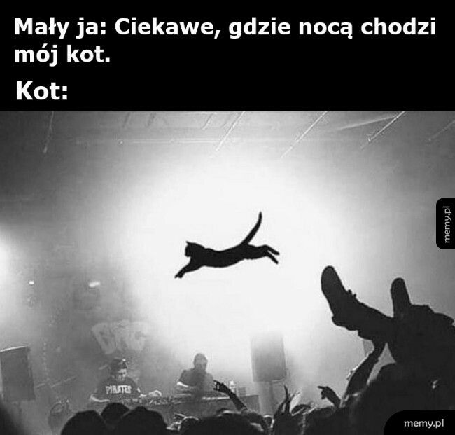 Dobrze się bawi