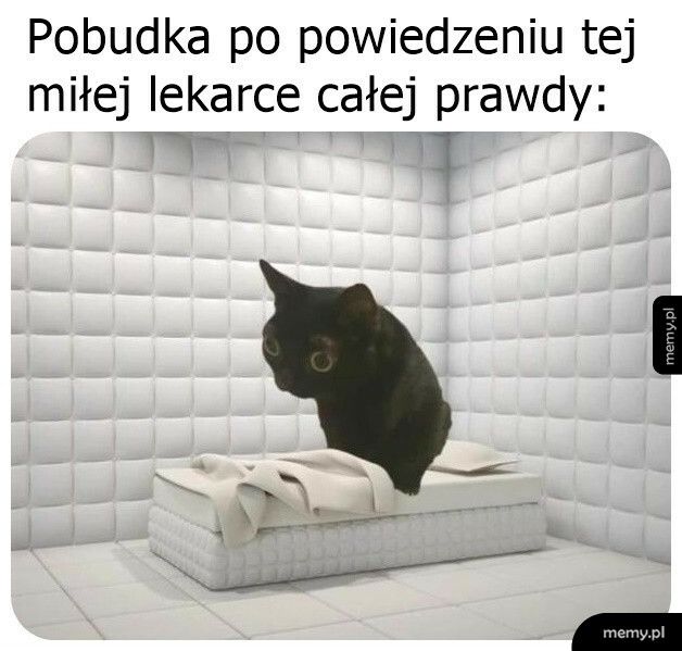 To się porobiło