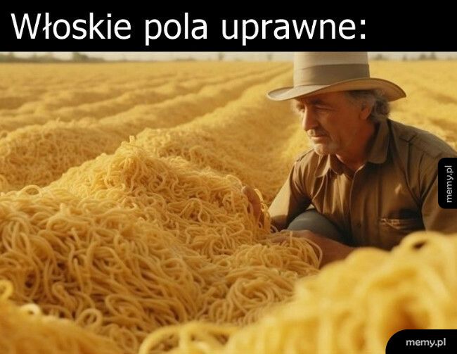 Włoskie pola uprawne