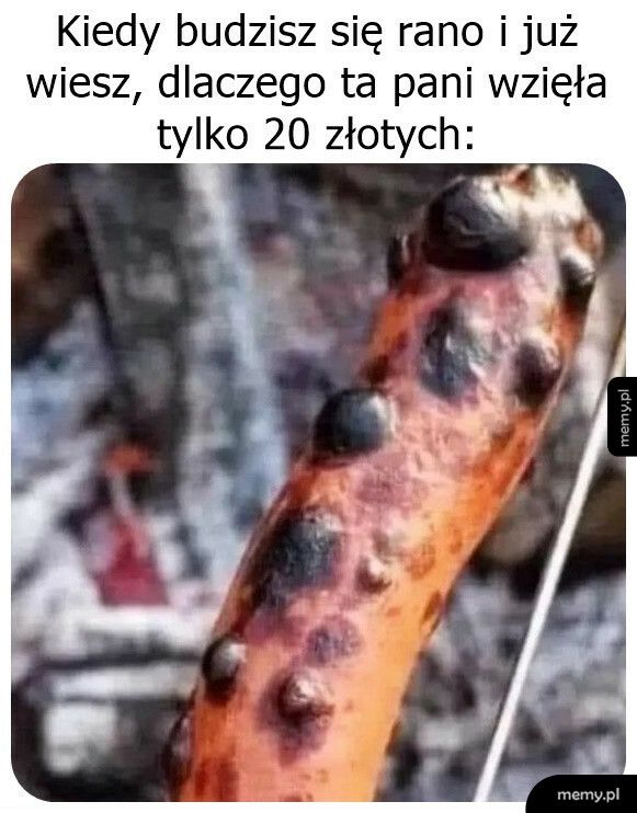 To się porobiło