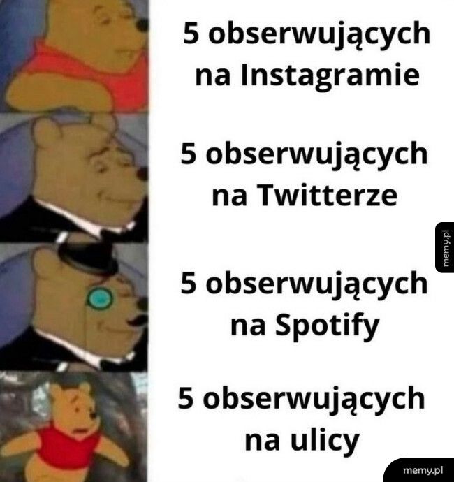 5 obserwujących