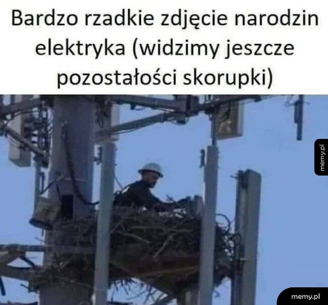 Rzadkie zdjęcie