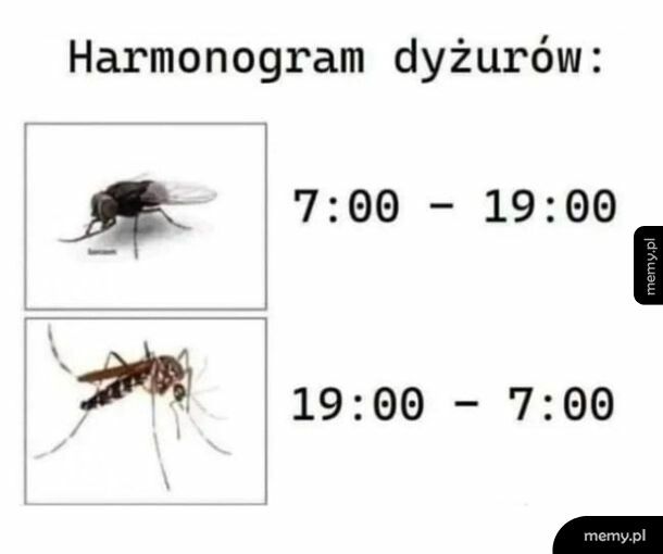 Już niebawem