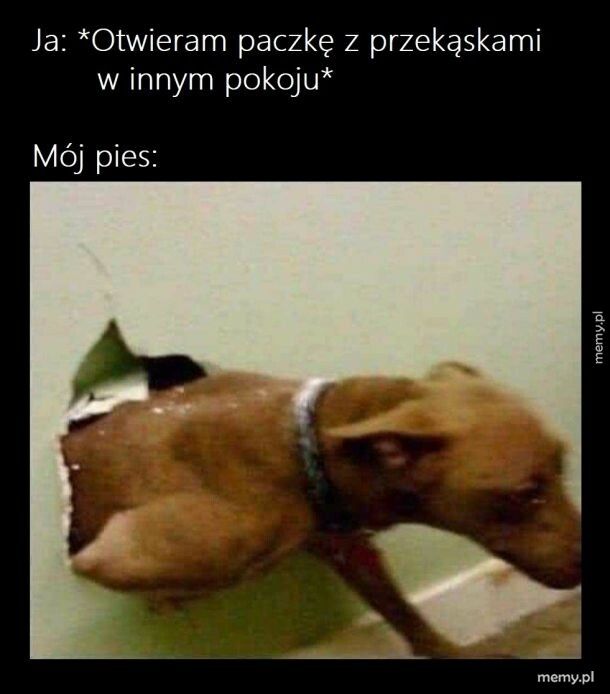 Podzielisz się?