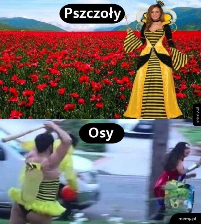 Zdecydowana różnica