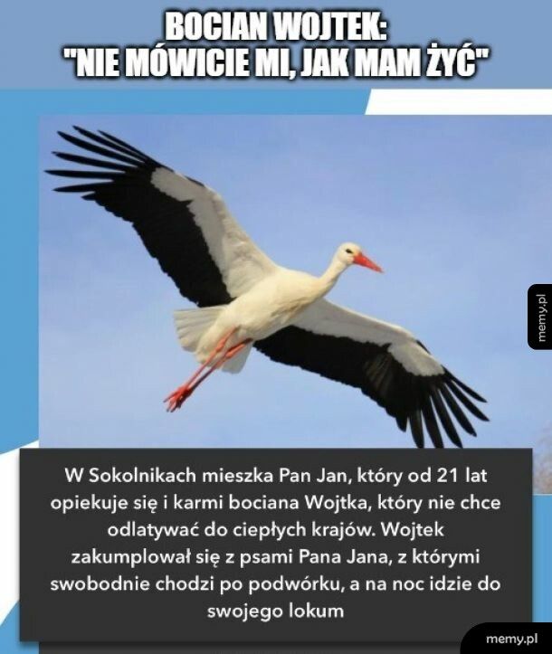 Żyje po swojemu