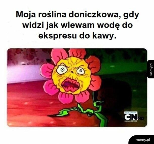 Ja mam sztuczne z Ikei