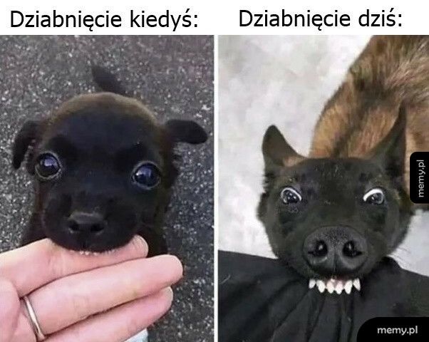 Dziabnięcie