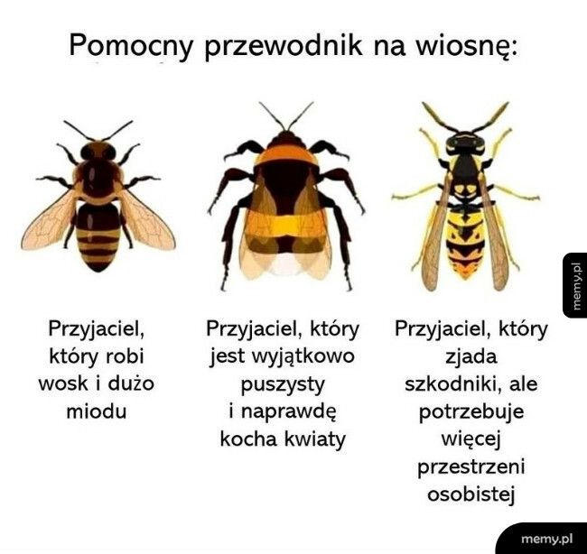 Pomocny przewodnik na wiosnę