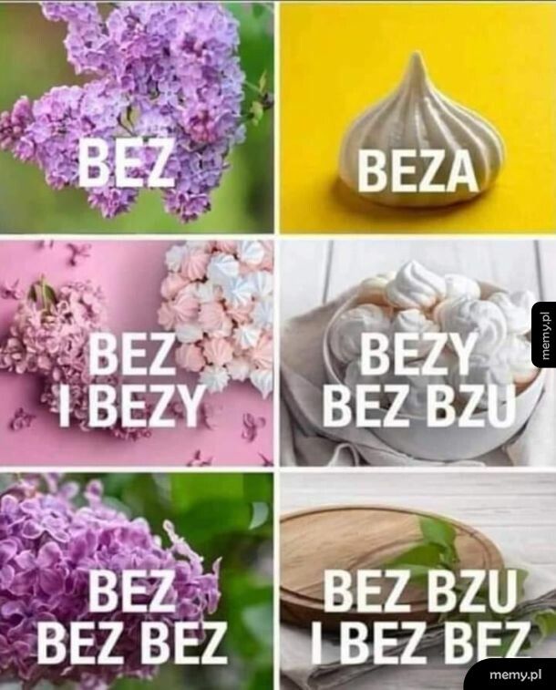 Skoro kwitną bzy