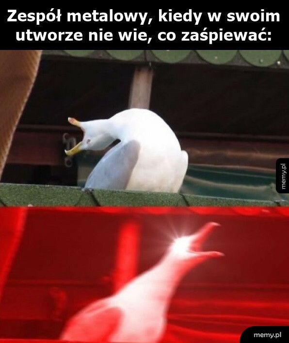 Czas się podrzeć