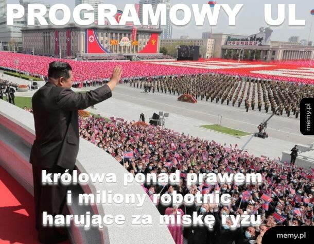 Programowy UL