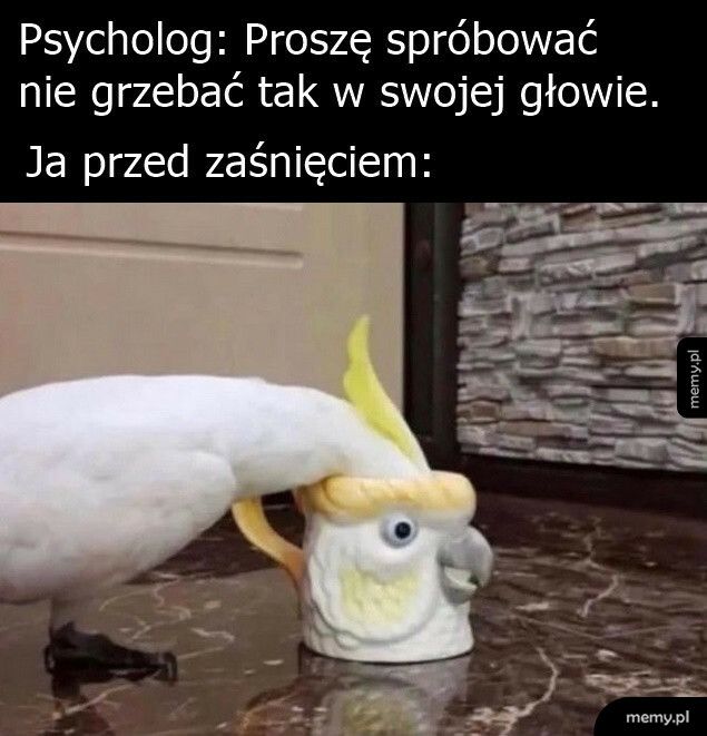 Grzebanie w głowie