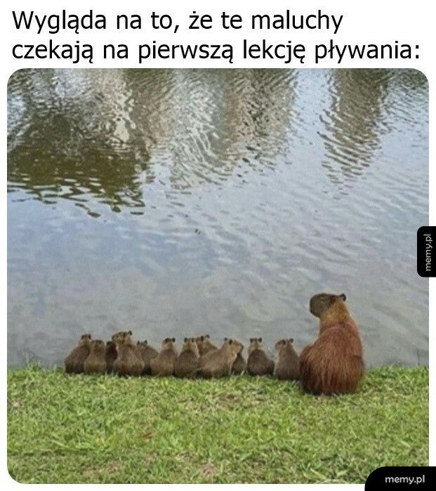 Pierwsza lekcja pływania