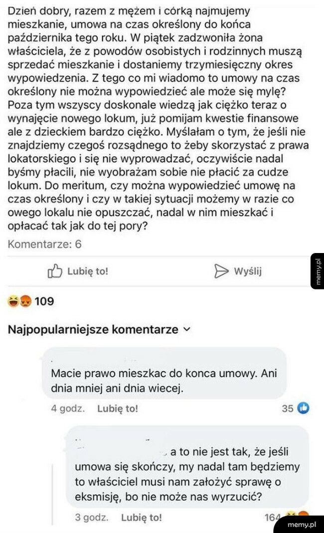 Wypowiedzenie umowy najmu