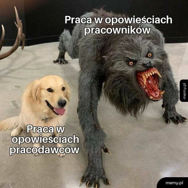 Opowieści dziwnej treści