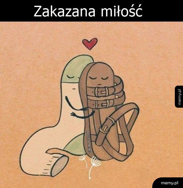 Zakazana miłość