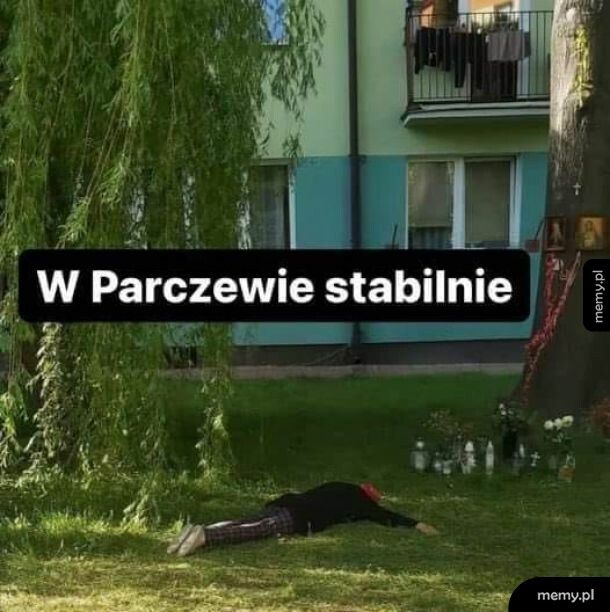 W Parczewie na drzewie