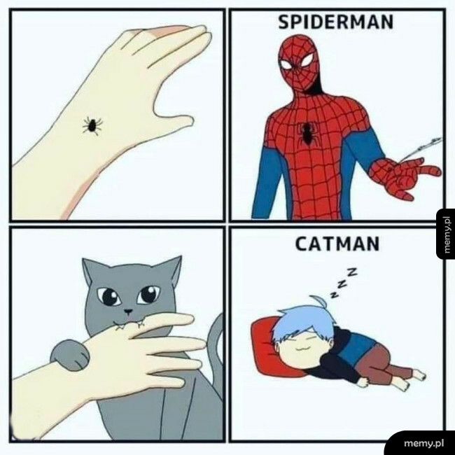 Catman