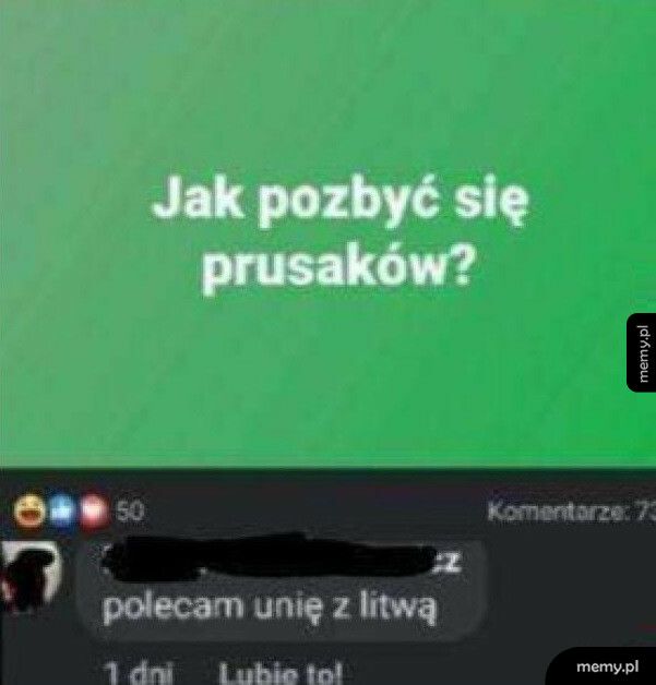 Jak pozbyć się prusaków?