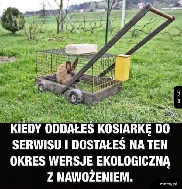 Ekologiczna kosiarka