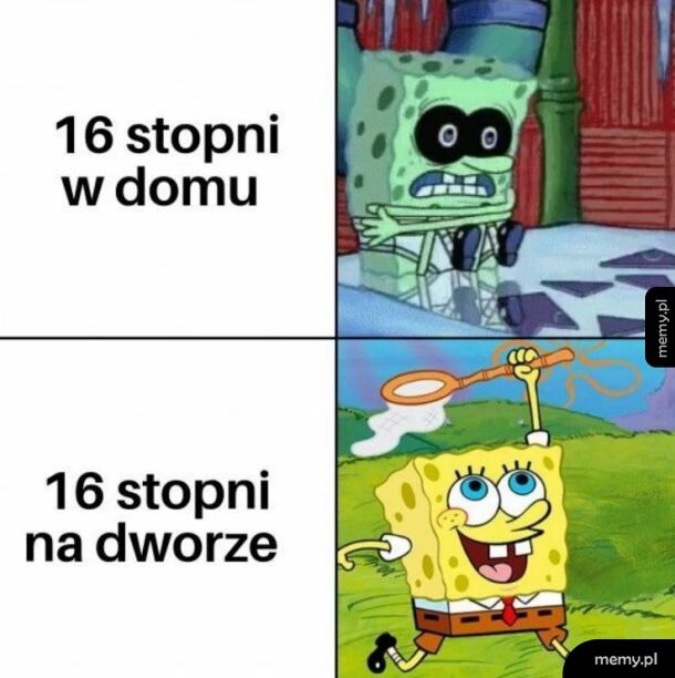 16 stopni