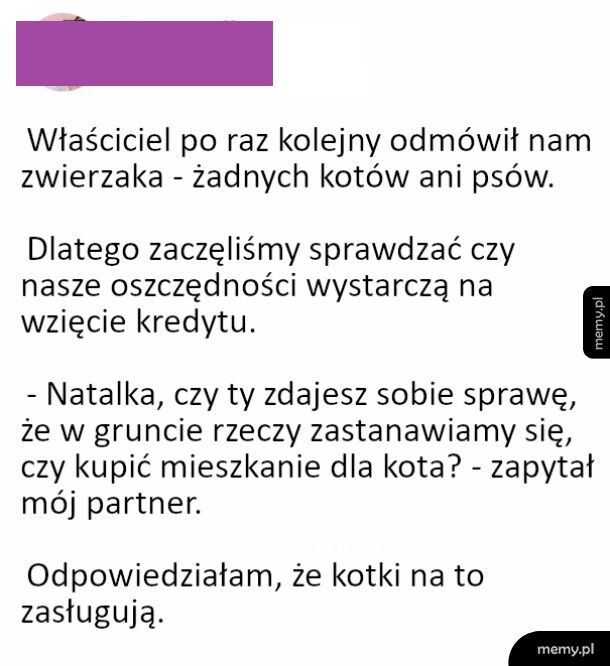 Kiedy bardzo chcesz mieć kota