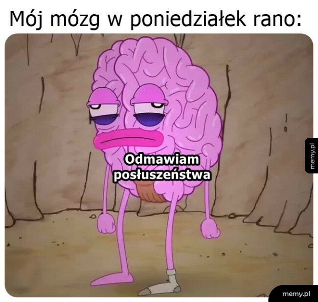 Poniedziałek