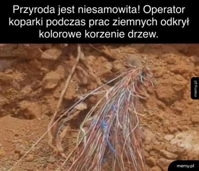 Przyroda jest niesamowita