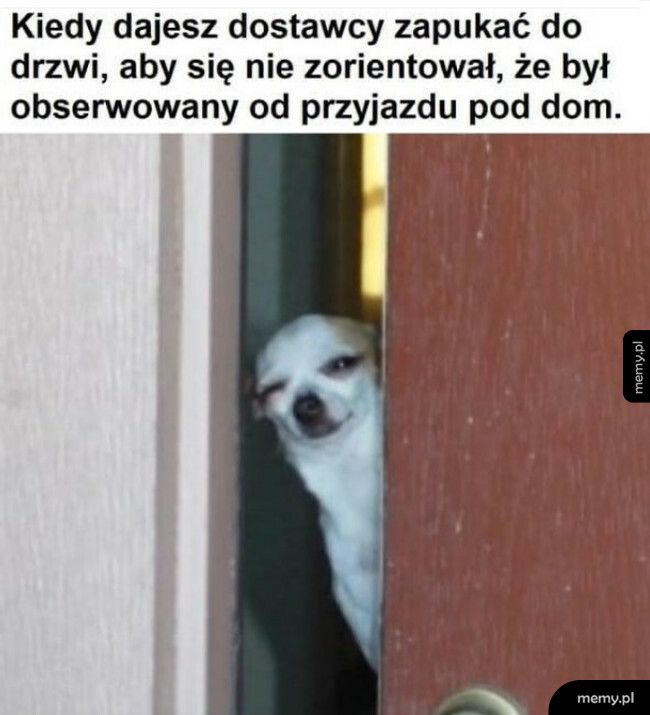 Trzeba stwarzać pozory