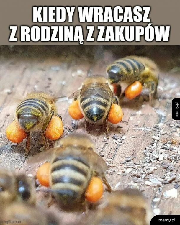 Duże zakupy