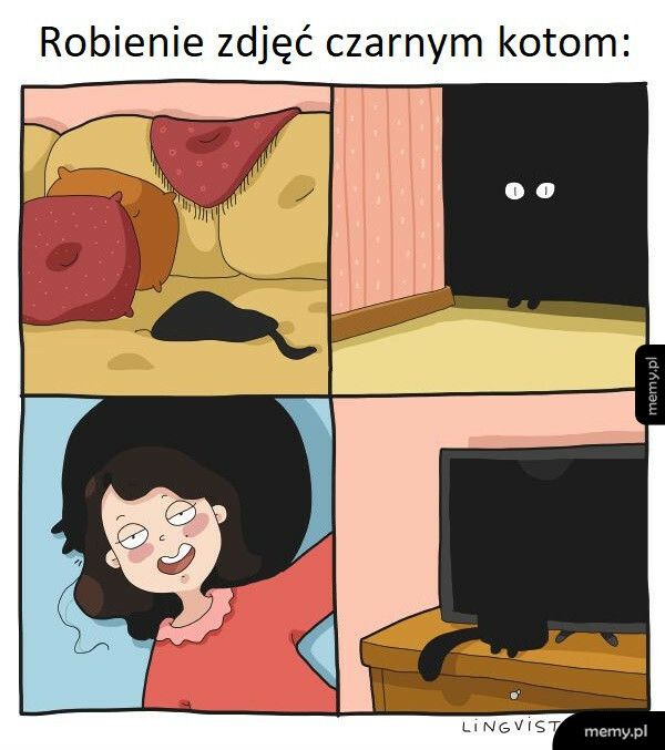 Robienie zdjęć czarnym kotom