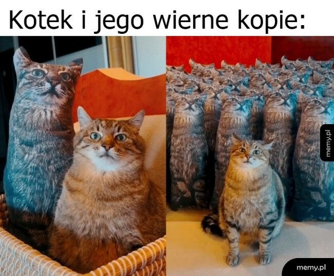 Wierne kopie