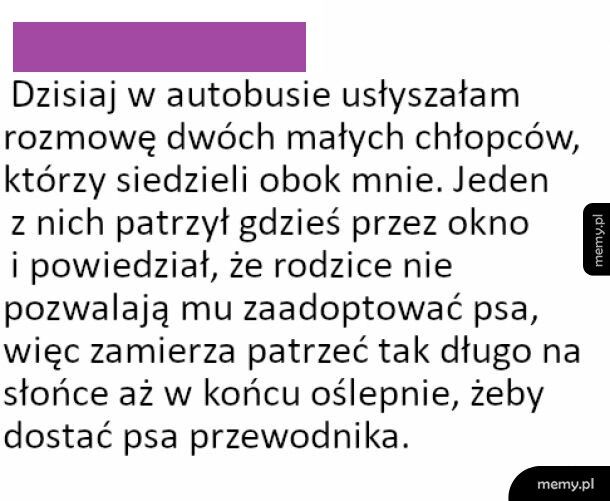 Podsłuchana rozmowa w autobusie