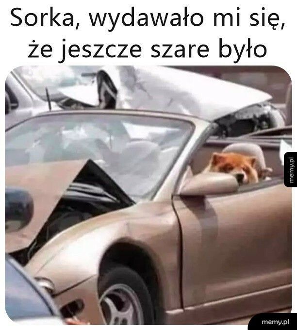 Jeszcze szare było