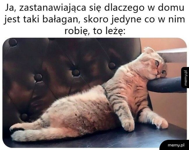 Bałagan w domu