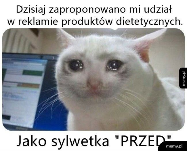 Udział w reklamie