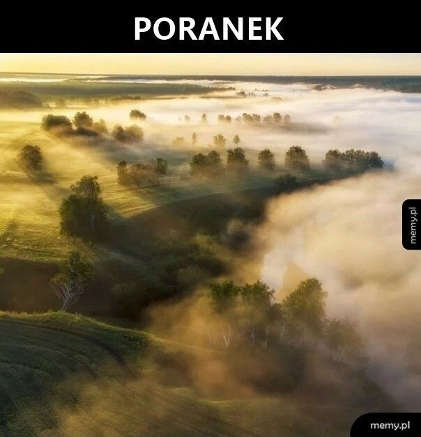 Poranek