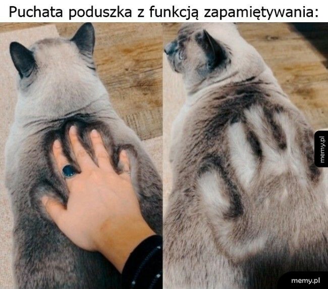 Puchata poduszka