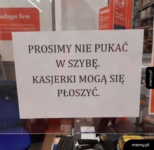 Nie pukać w szybę