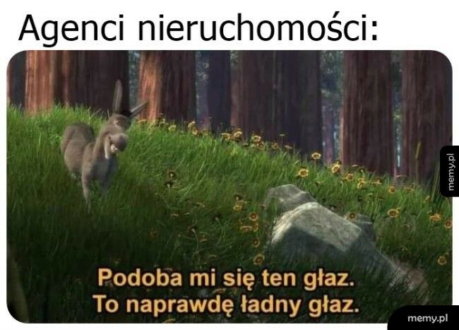 Agenci nieruchomości